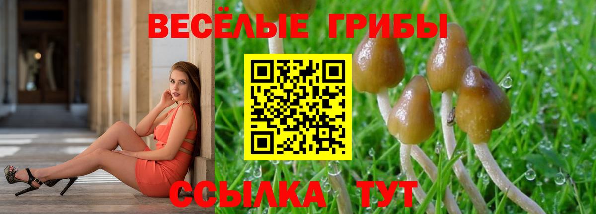 Псилоцибиновые грибы GOLDEN TEACHER  купить закладку  Керчь  Галлюциногенные грибы Cubensis  Вход с VPN 